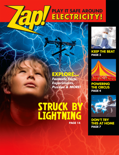 35810 Zap Play It Safe Around Electricity lg